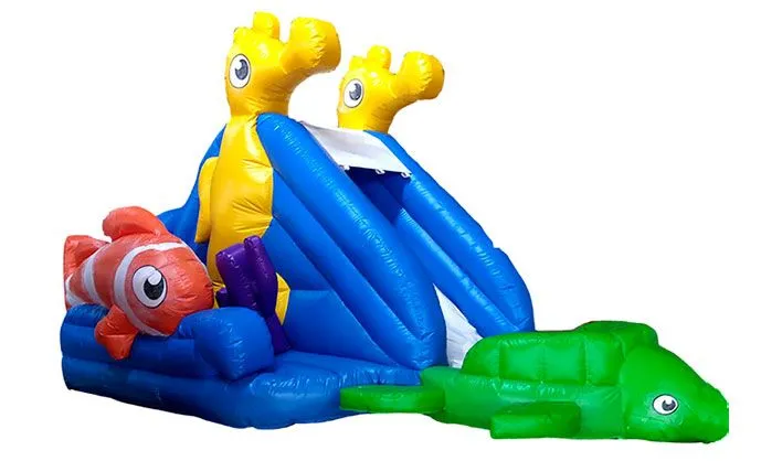 Alquiler de castillo hinchable NEMO Acuático en Palma de Mallorca