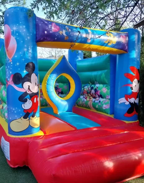 DISNEY  alquiler de hinchables en Mallorca para fiestas