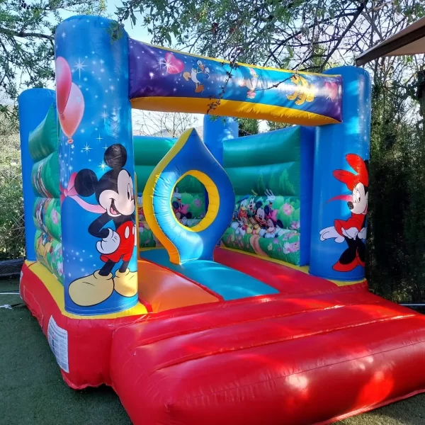 Alquiler de castillo hinchable DISNEY en Palma de Mallorca