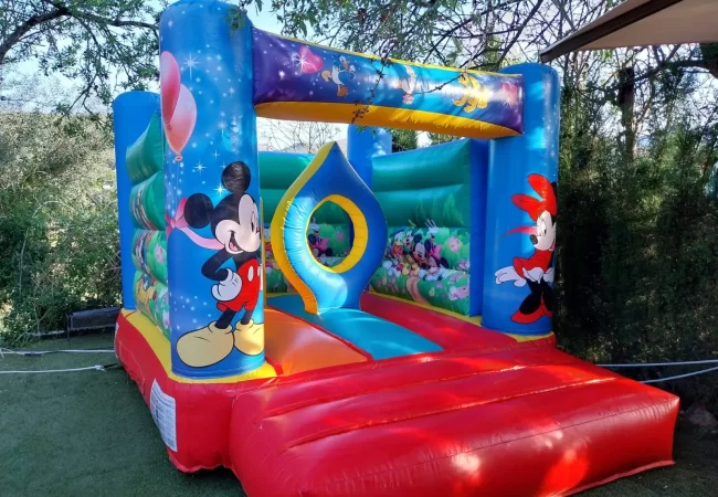 DISNEY  alquiler de hinchables en Mallorca para fiestas