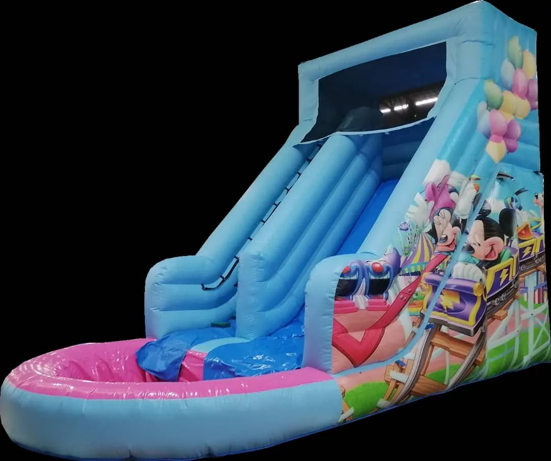 Alquiler de castillo hinchable DISNEY Acuático en Palma de Mallorca